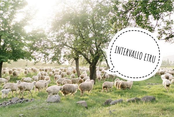 Intervallo ETRU 06 luglio